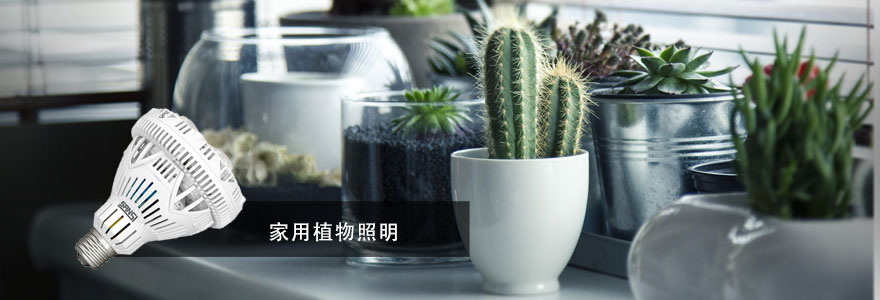 色多多AV导航·植物照明