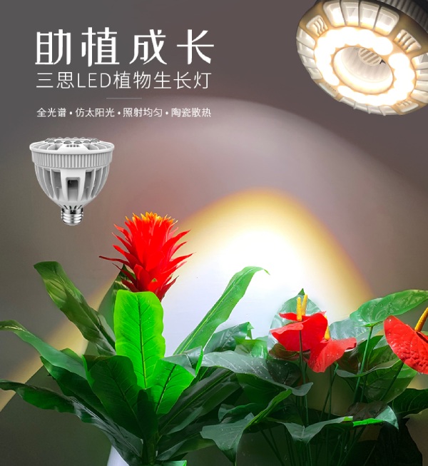 色多多AV导航家（jiā）用LED植物生長燈