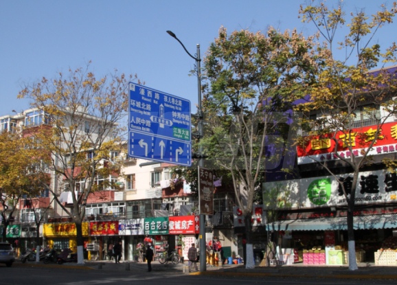 南通市區色多多AV导航LED陶（táo）瓷像素模塊化路燈