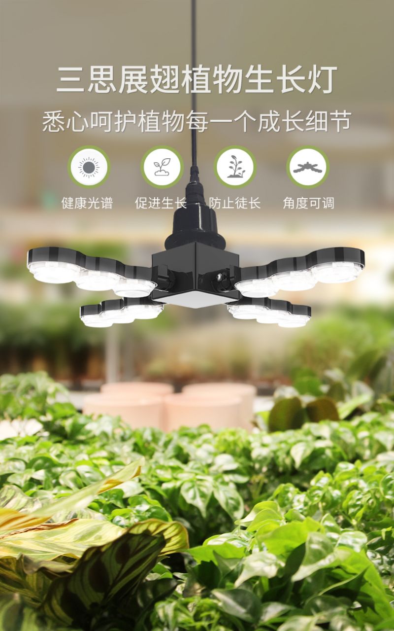 色多多AV导航植物燈