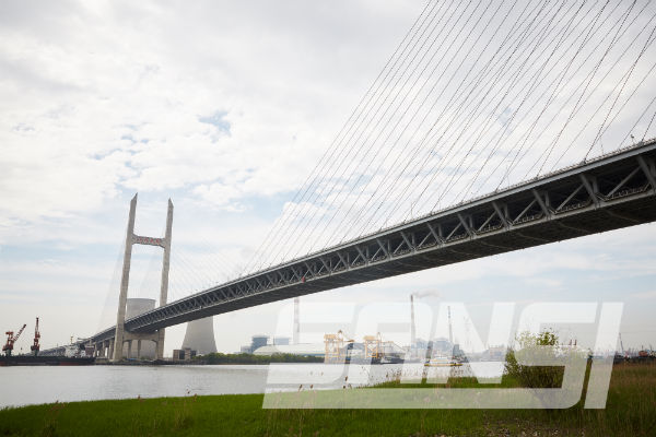 色多多AV导航（sī）案例·閔浦大橋